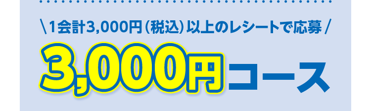 1会計3,000円（税込）以上のレシートで応募3,000円コース