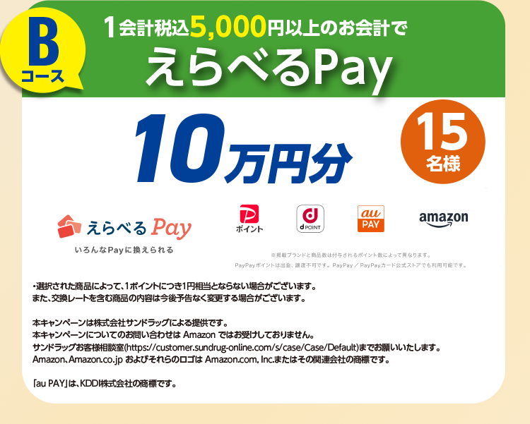 Bコース 1会計税込5,000円以上のお会計で選べるPay10万円分 15名様