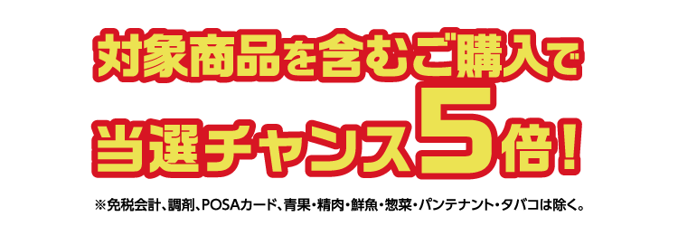対象商品を含むご購入で当選チャンス5倍！
