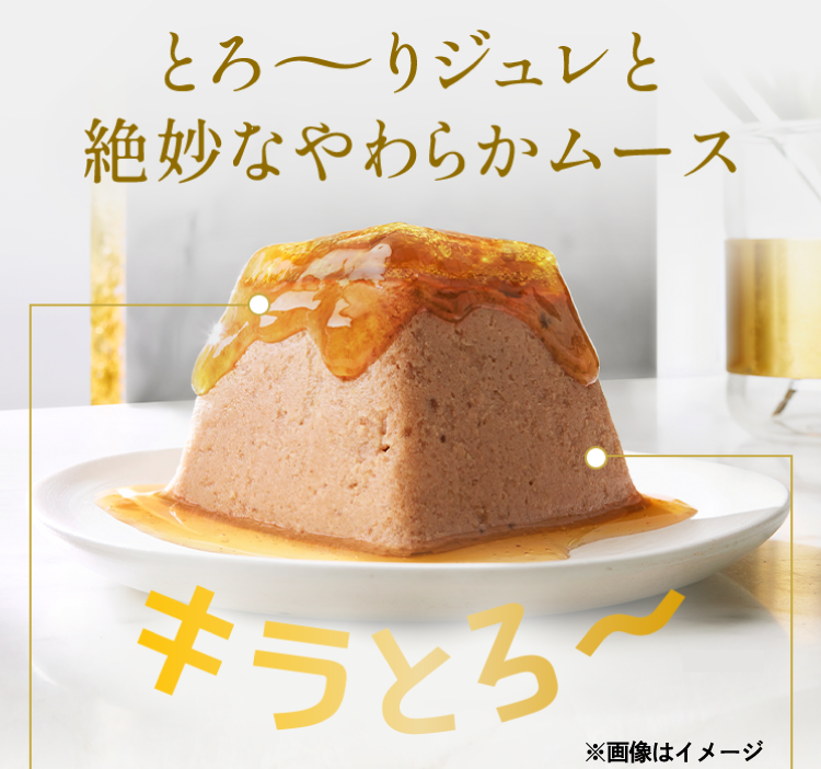 とろ～りジュレと絶妙なやわらかムース キラとろ～