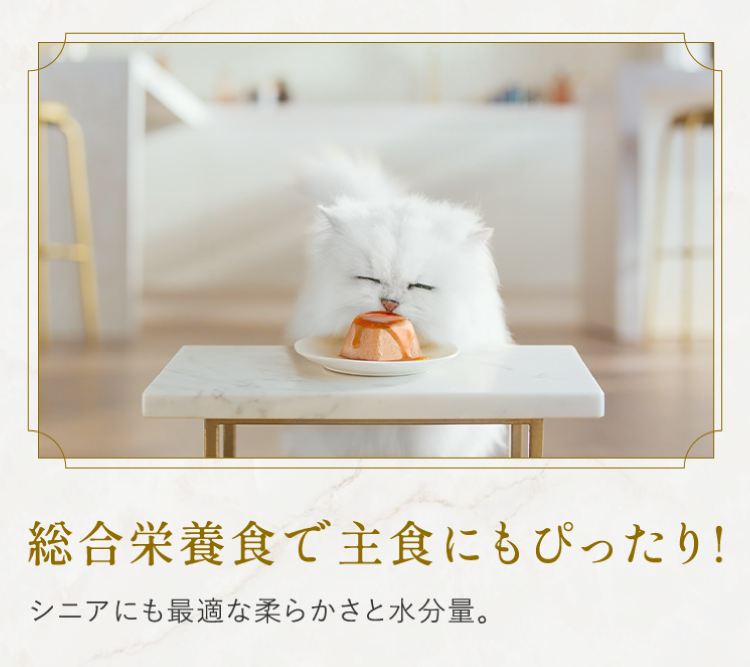 総合栄養食で主食にもぴったり！