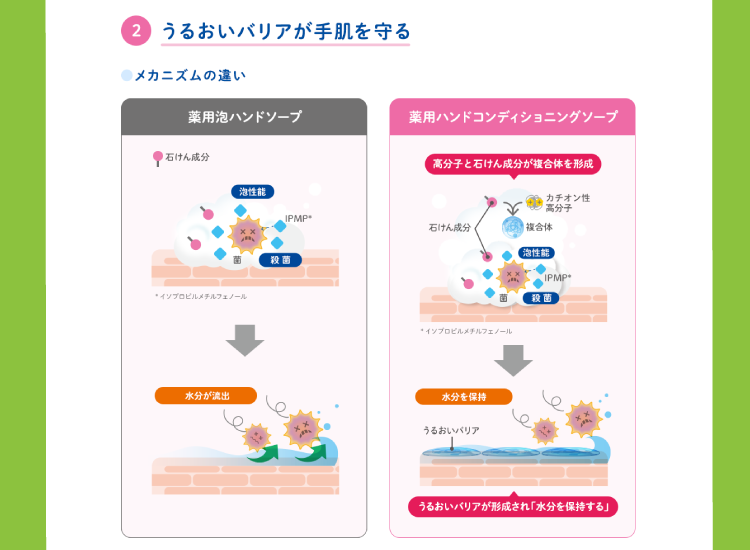 ②うるおいバリアが手肌を守る