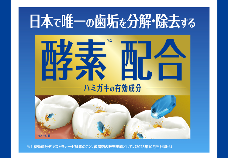 日本で唯一の歯垢を分解・除去する酵素配合 ハミガキの有効成分